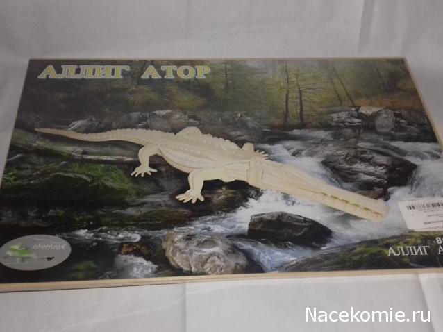 "Живой уголок"