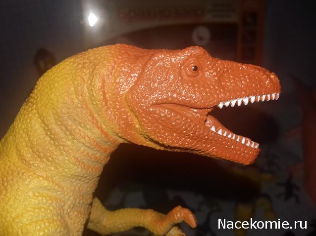 "Живой уголок"