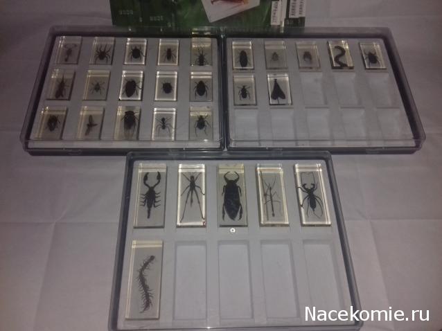 "Живой уголок"