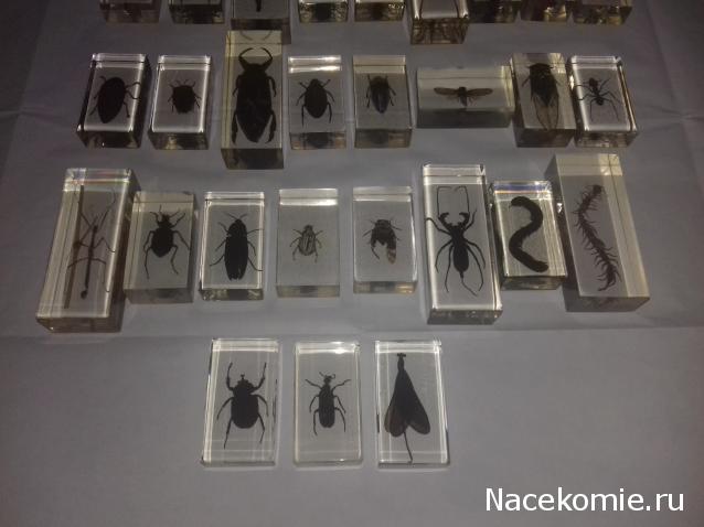 "Живой уголок"