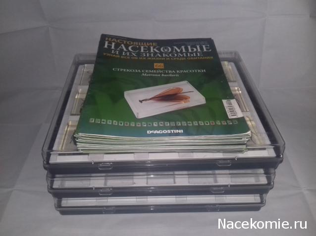 "Живой уголок"