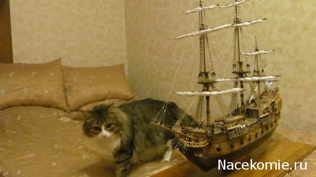 Фото кошек)))))