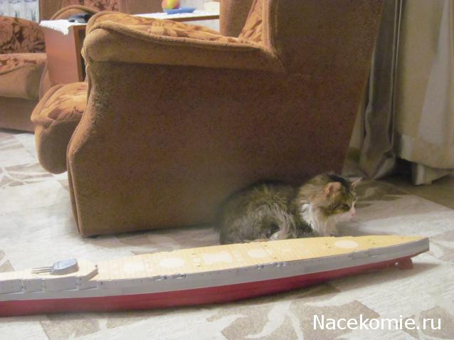 Фото кошек)))))