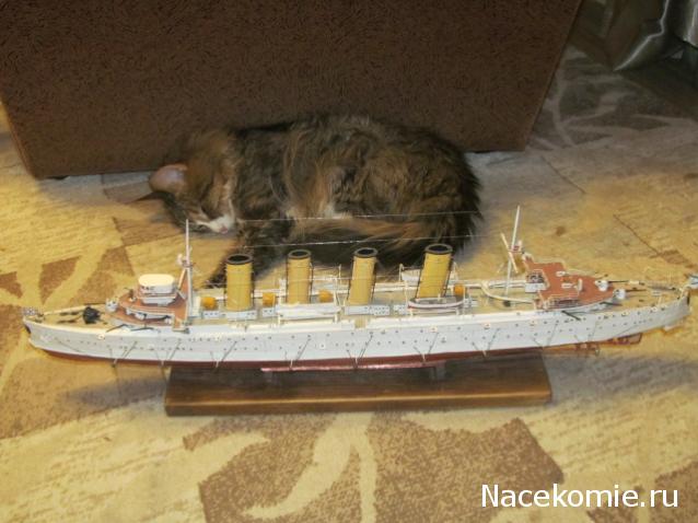 Фото кошек)))))