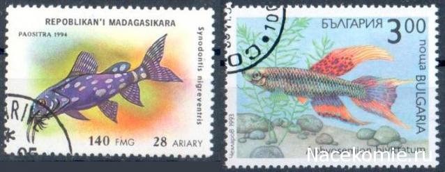 Почтовые марки Мира №206