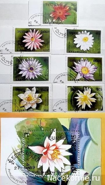 Почтовые марки Мира №216