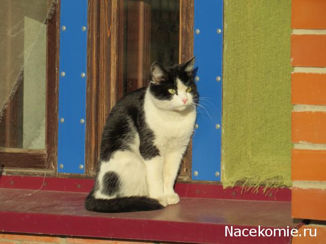 "Живой уголок"