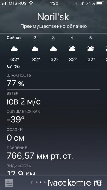 "Живой уголок"