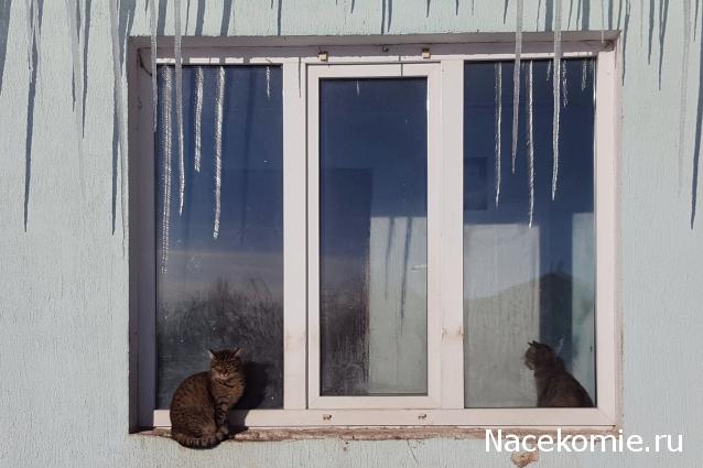 "Живой уголок"