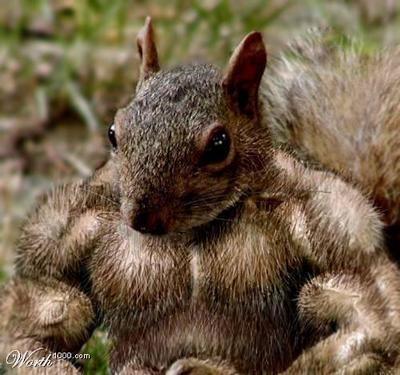 "Живой уголок"