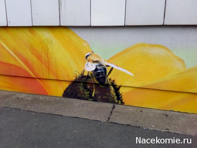 "Живой уголок"