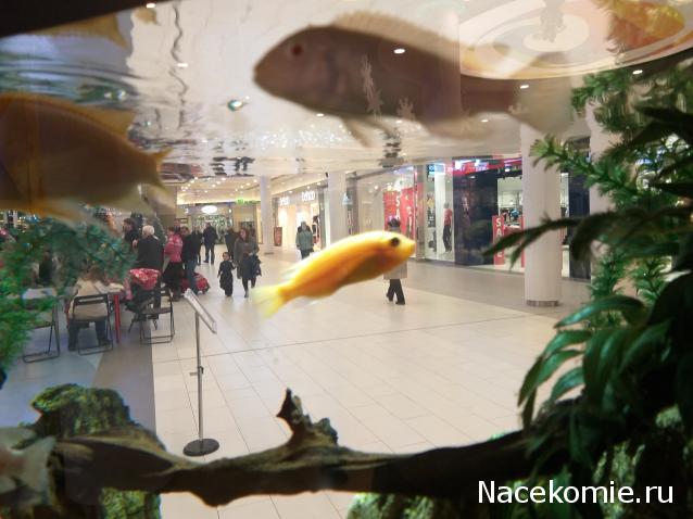 "Живой уголок"