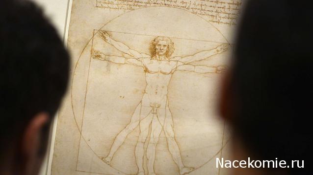 Кинозал автолюбителей