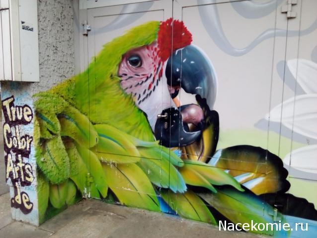 "Живой уголок"