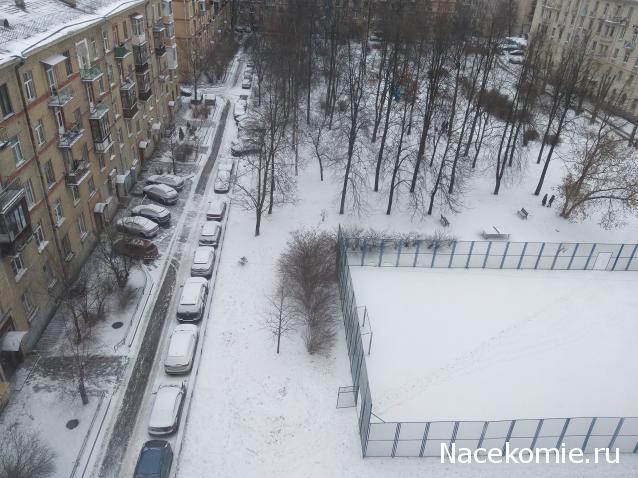 "Живой уголок"