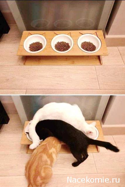 "Живой уголок"