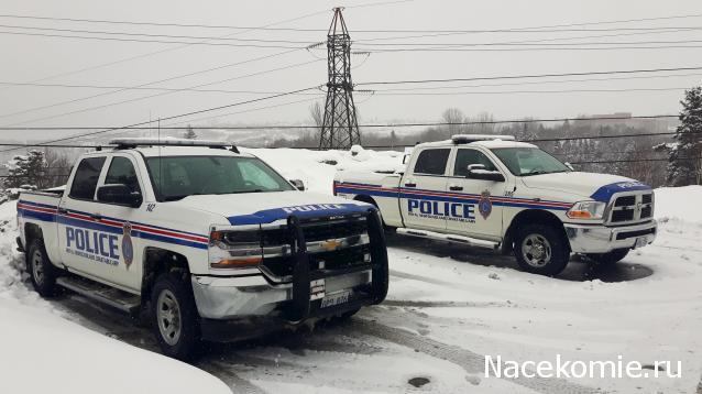 Дежурная Часть - Болталка форума Полицейские Машины Мира