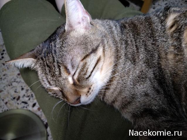 "Живой уголок"