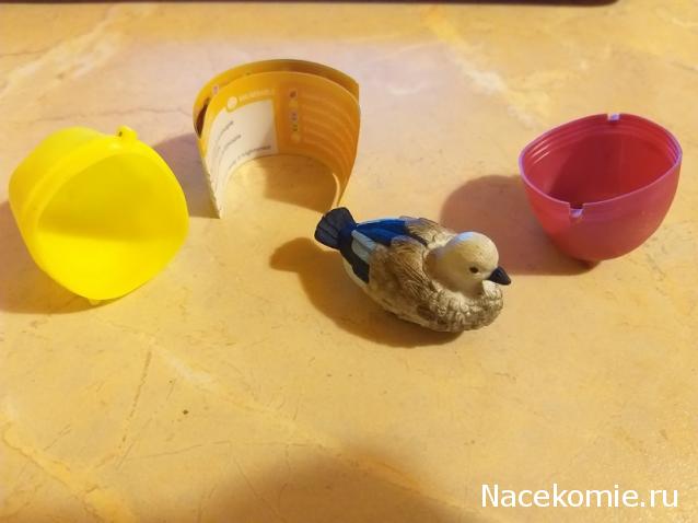 "Живой уголок"