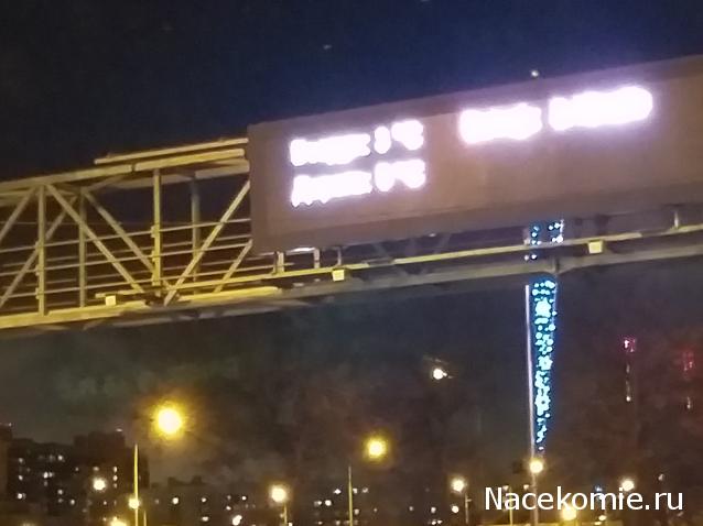 "Живой уголок"