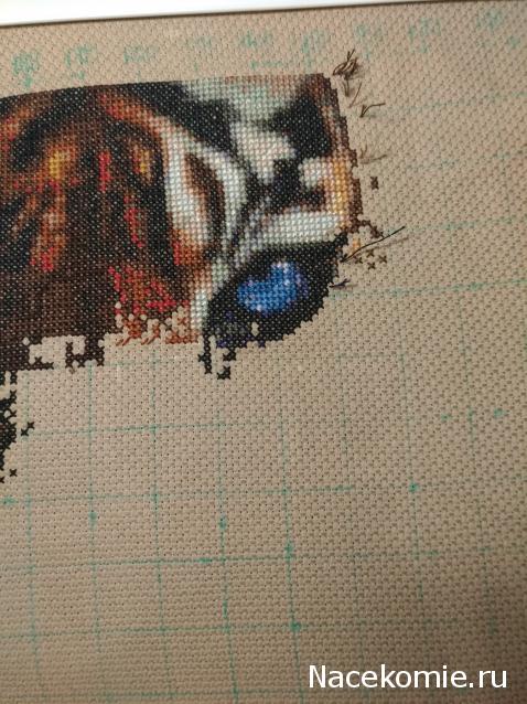 100 крестиков!