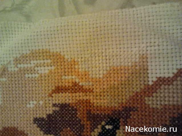 100 крестиков!