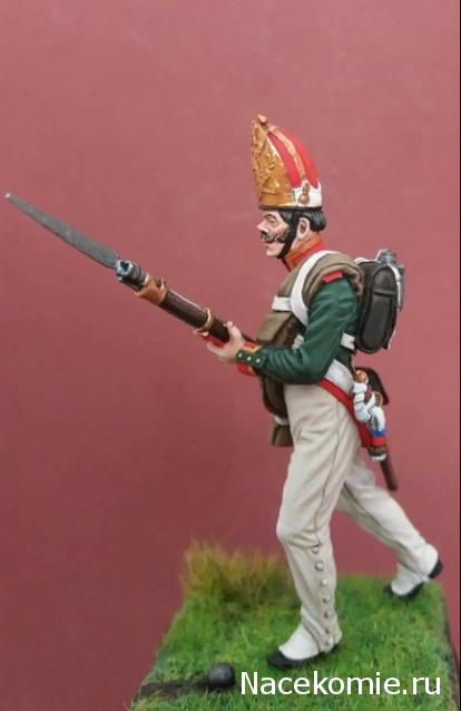 Наполеоновские Войны - Новая флудилка