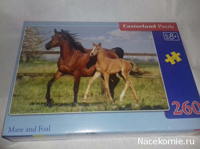 "Живой уголок"