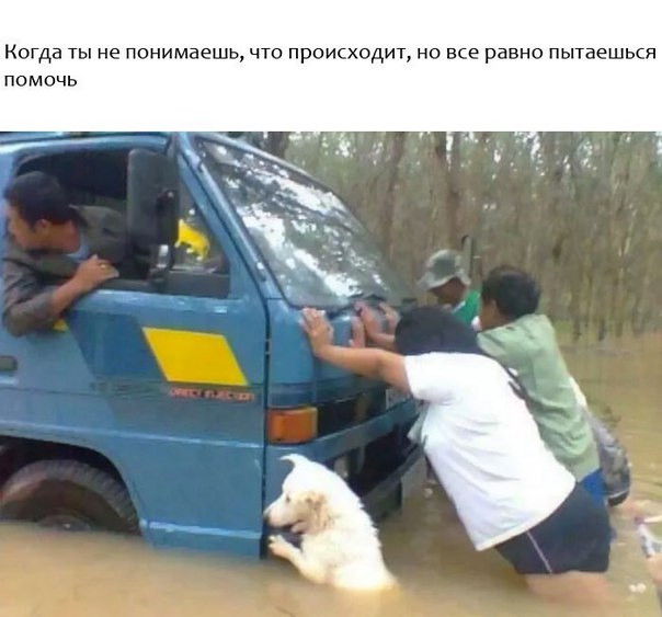 "Живой уголок"