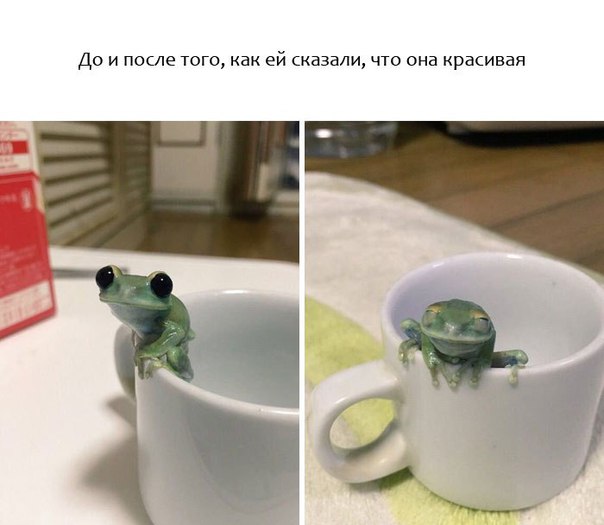 "Живой уголок"