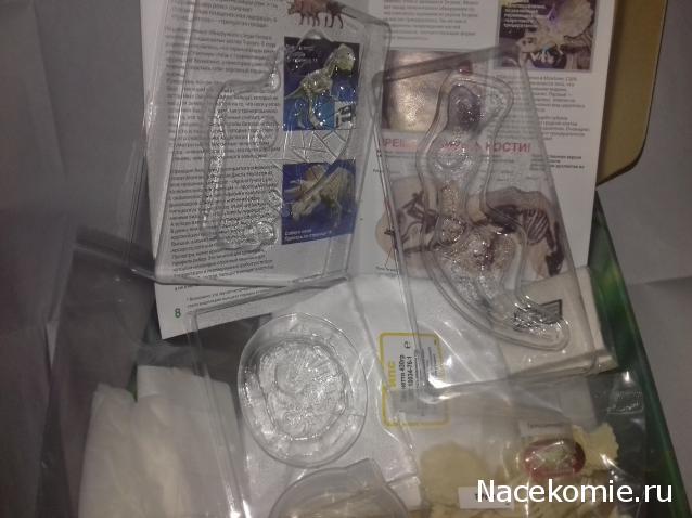 "Живой уголок"