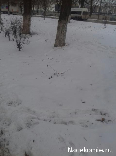 "Живой уголок"