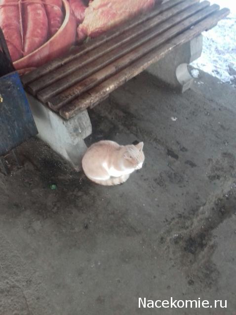 "Живой уголок"