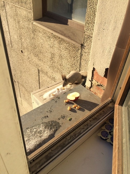 "Живой уголок"