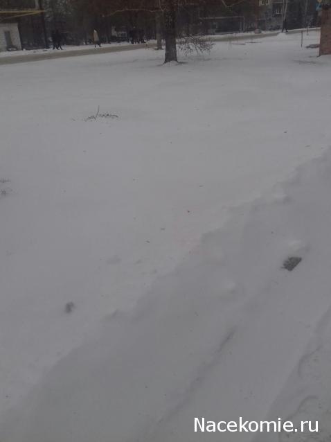 "Живой уголок"