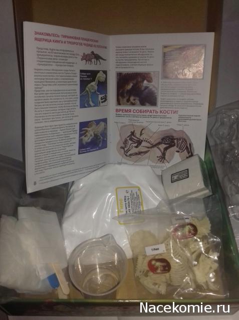 "Живой уголок"