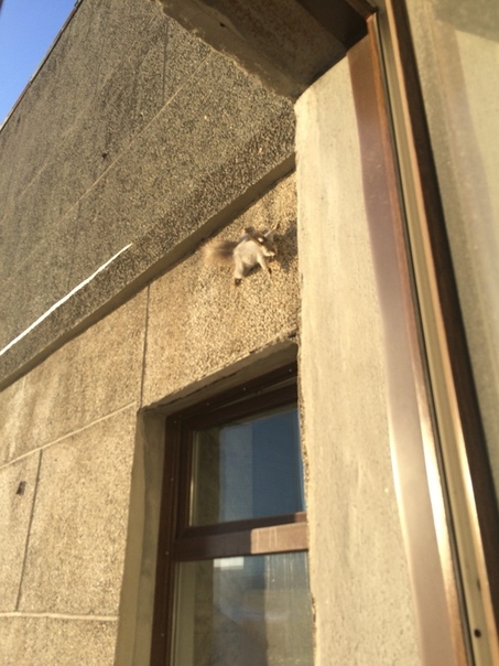 "Живой уголок"