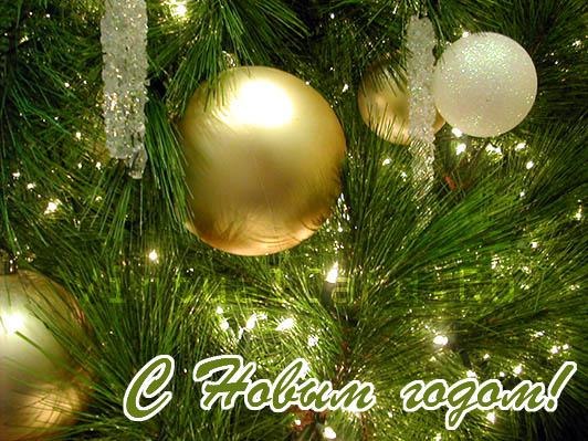 Радиорубка наших поездов: поздравления для всех тех, с кем нам по пути!