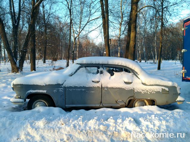 Автолегенды вживую