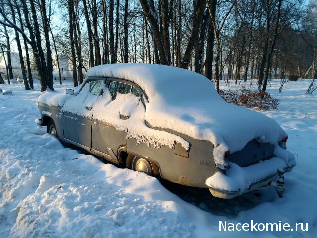 Автолегенды вживую