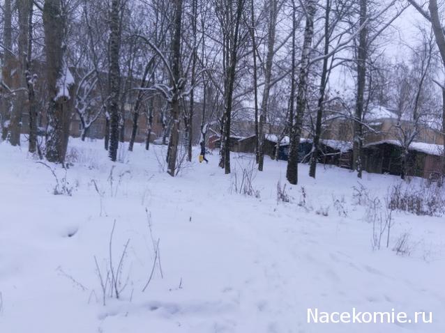 "Живой уголок"