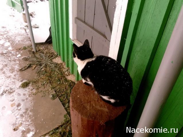 "Живой уголок"