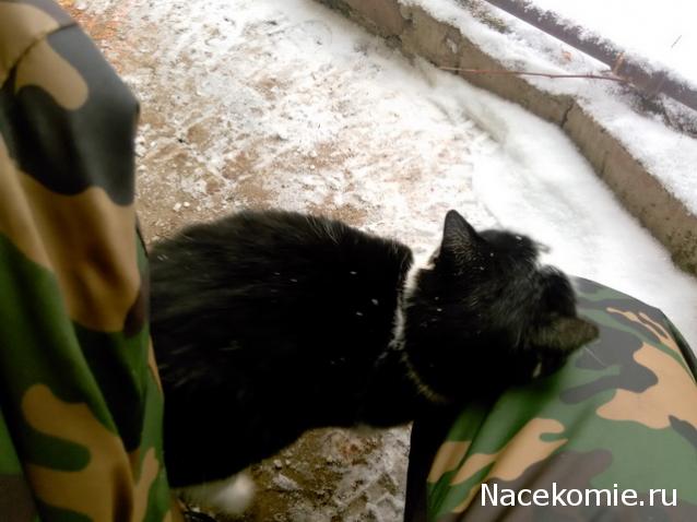 "Живой уголок"