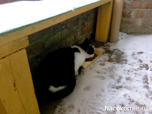 "Живой уголок"