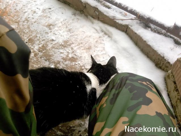 "Живой уголок"