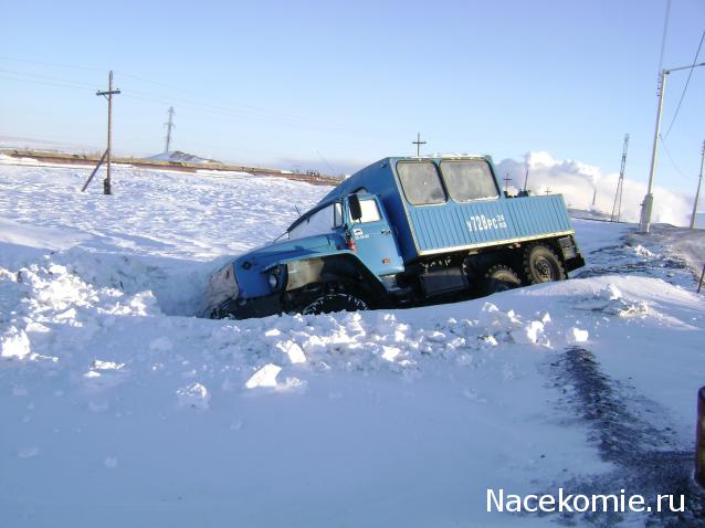 Автолегенды вживую