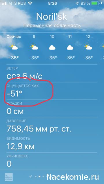 "Живой уголок"