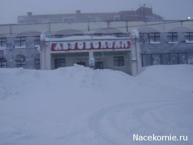 Автолегенды вживую