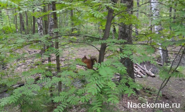 "Живой уголок"