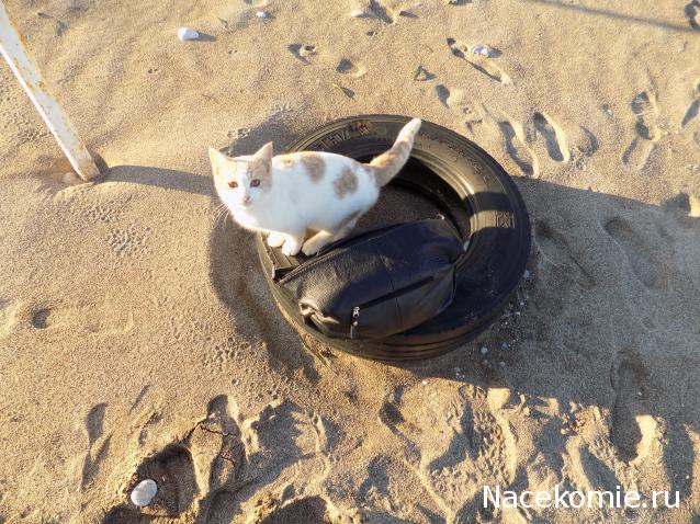 "Живой уголок"